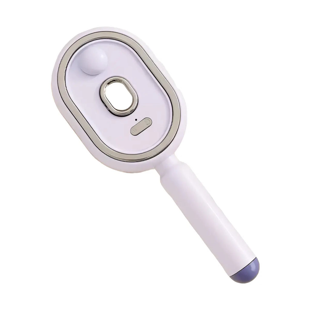 Steam Brush | Rechargeable Detangling Tool with Oil